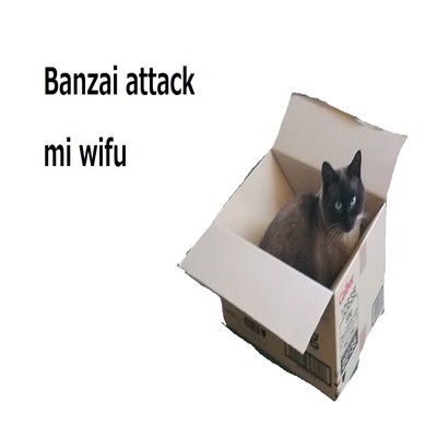 Banzai attack to mi wifu