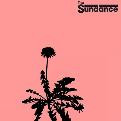 Bloom in the Wilderness