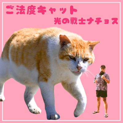 GOHATTO CAT