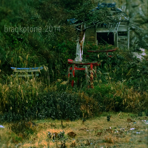 braqkotone