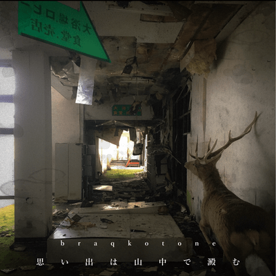 Omoideha Santyuude Yodomu