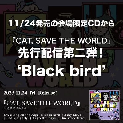 Black bird