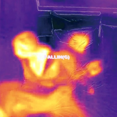 FALLIN (G)