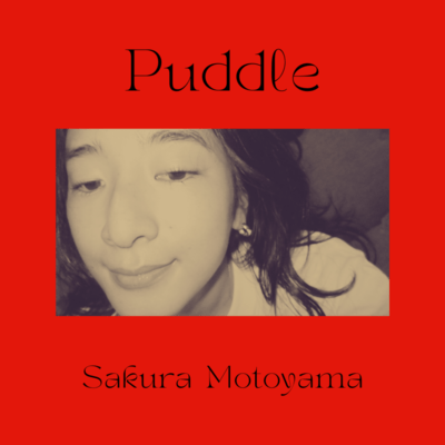 Puddle